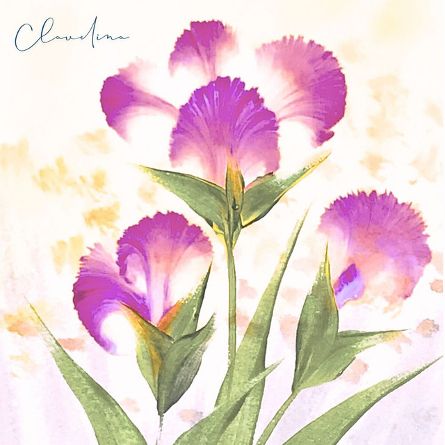 Clavelina