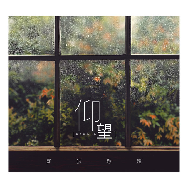 仰望 cover art