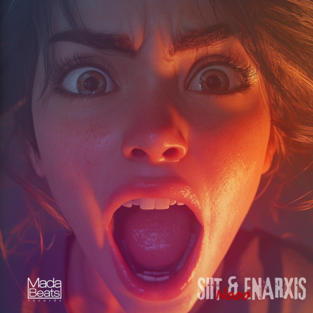 Nooo cover art