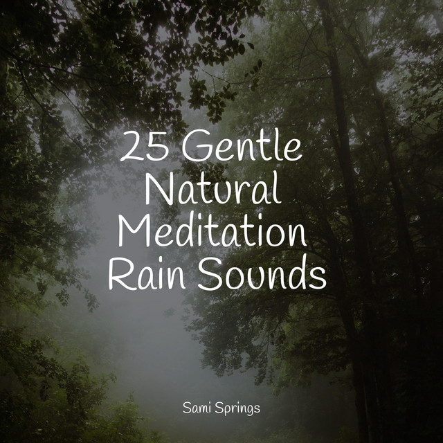 25 Gentle Natural Meditation Rain Sounds cover art