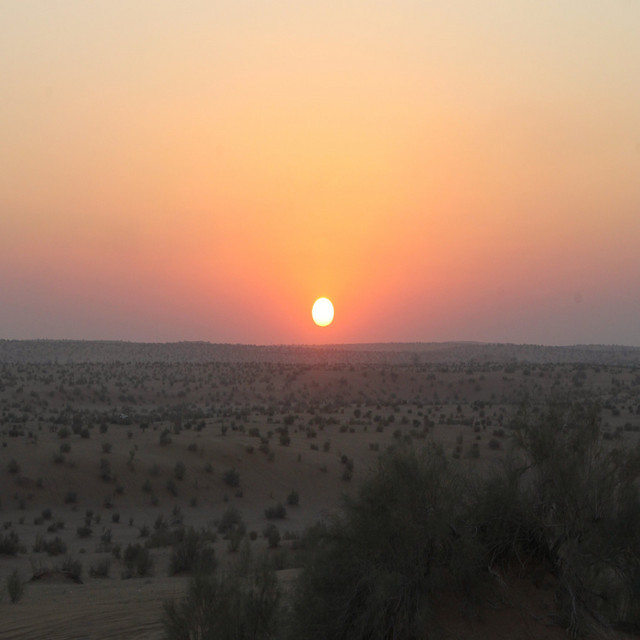 عبد الله الشهري