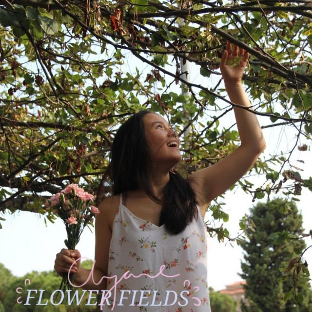Flower fields cover art