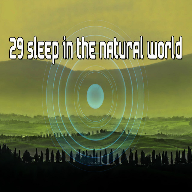 29 Sleep In The Natural World - Album by Sleep Sounds of Nature | Spotify