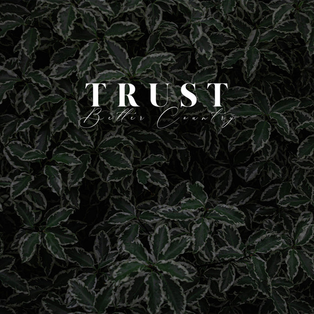 Trust - EP by Better Country Soaking Worship | Spotify