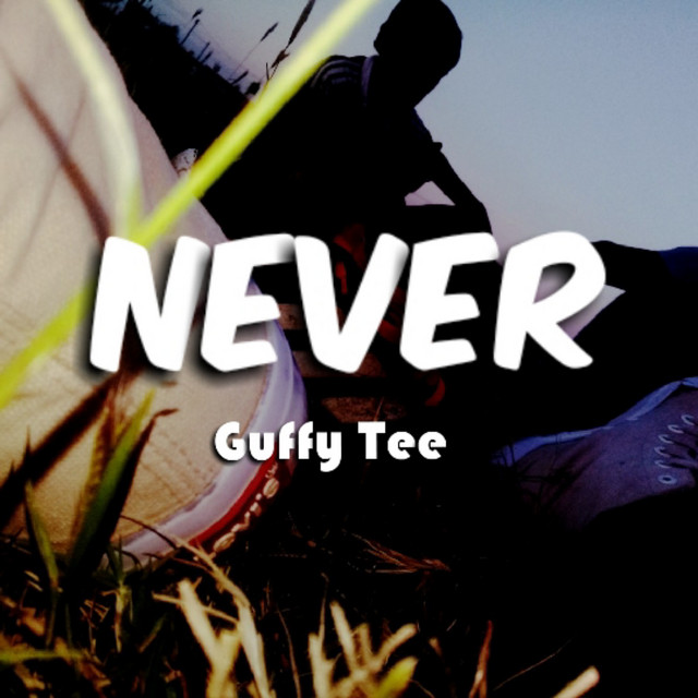 NEVER cover art