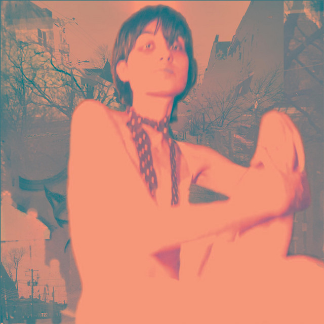 Dolphin Anthem album image