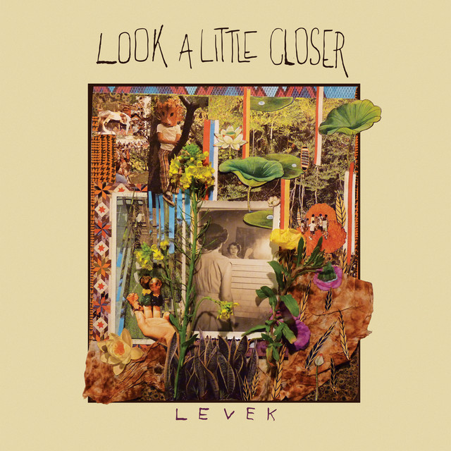 Look a Little Closer cover art