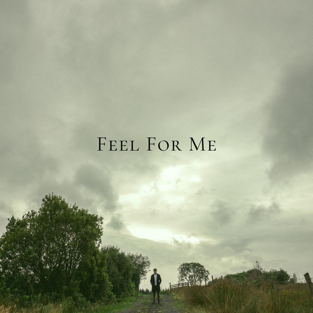 Feel For Me cover