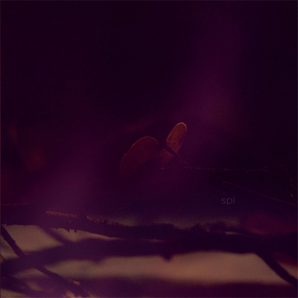 SPL cover art