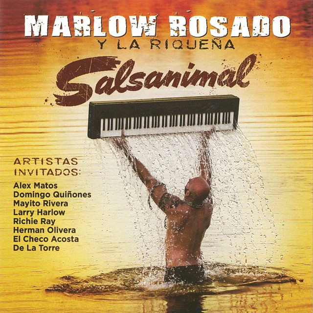 Salsanimal cover art