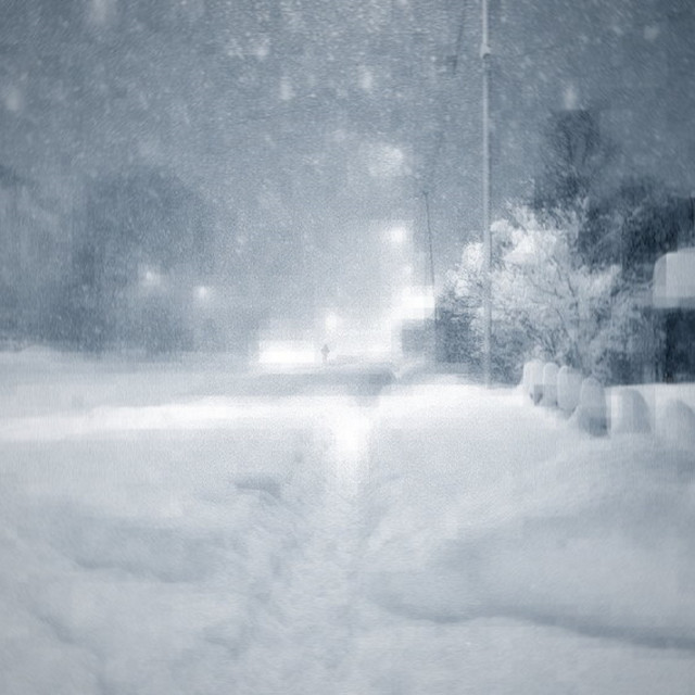 Winter cover art