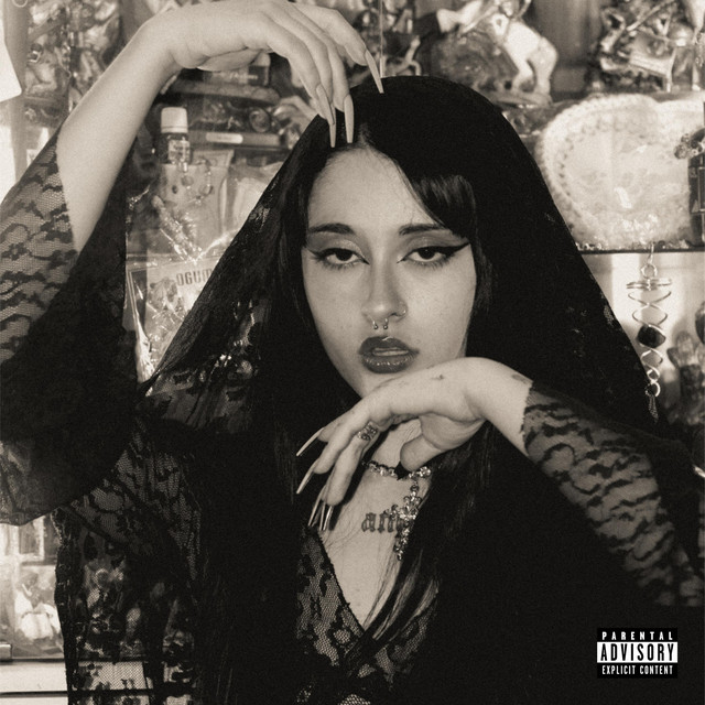 Fiebre cover art