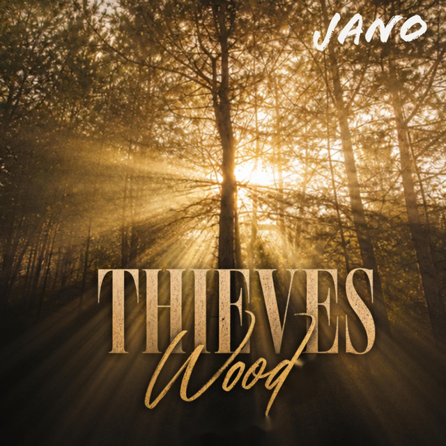 Thieves Wood cover