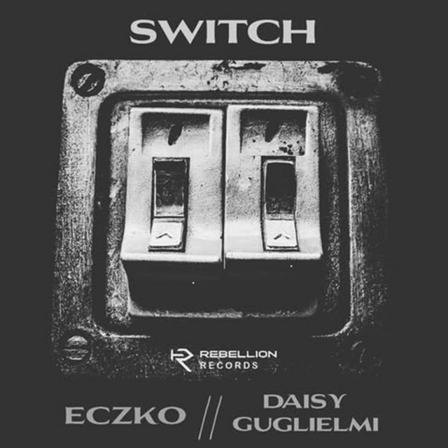 Switch cover art