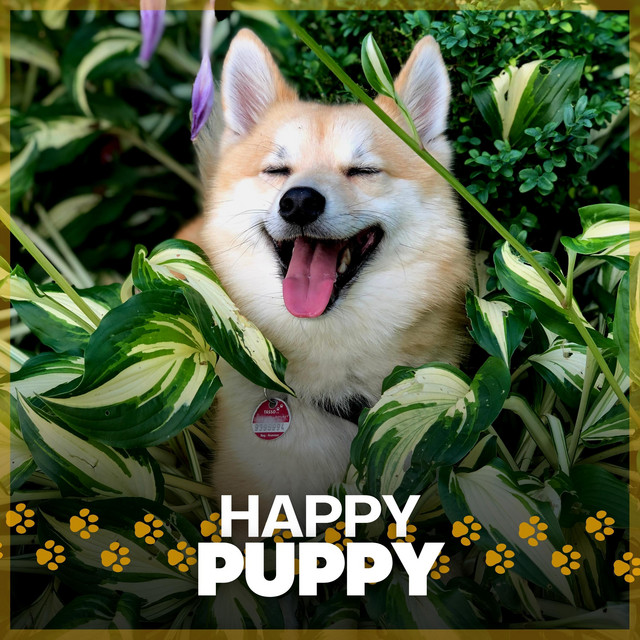 Happy Puppy cover art