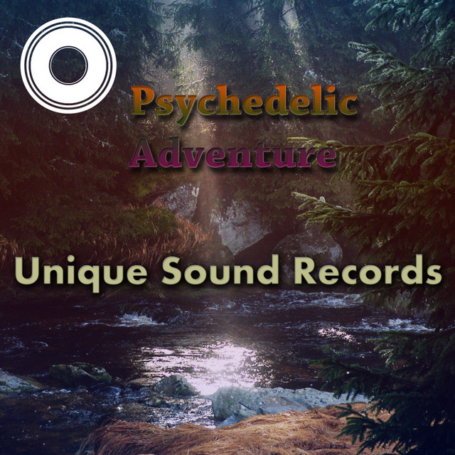 Psychedelic Adventure cover art