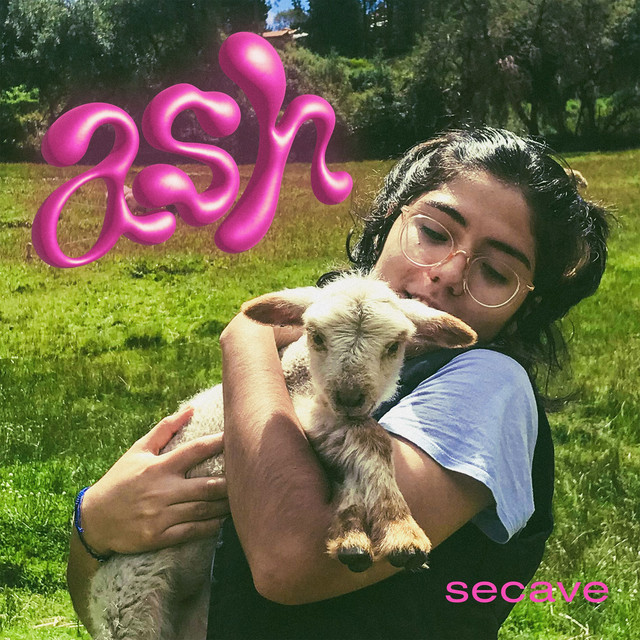 ASH cover art