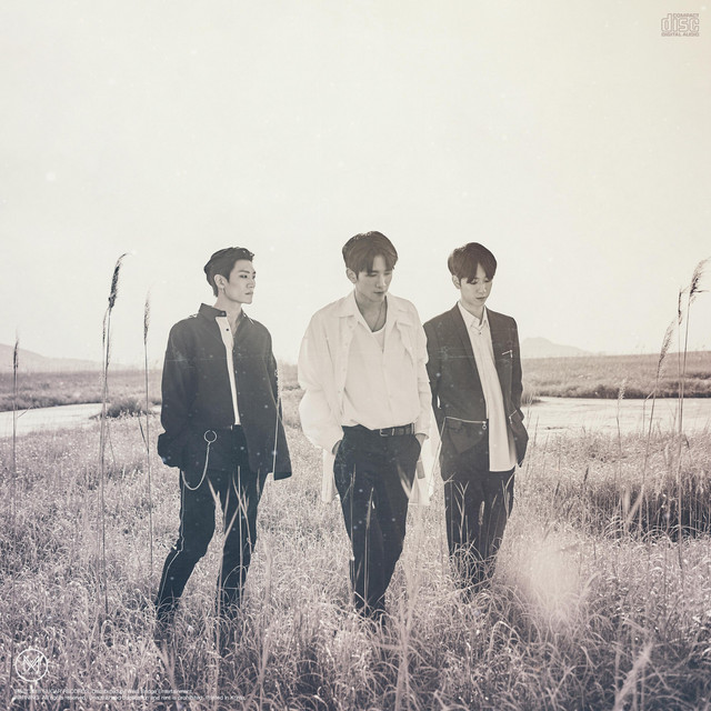 The Eye of A Typhoon cover art