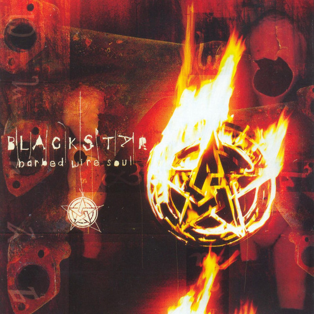 Barbed Wire Soul cover art
