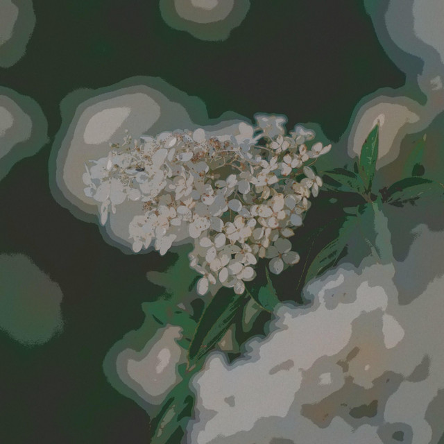 hiraeth