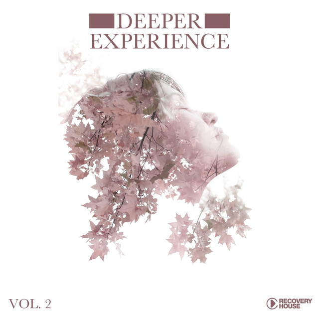 Deeper Experience, Vol. 2 cover art