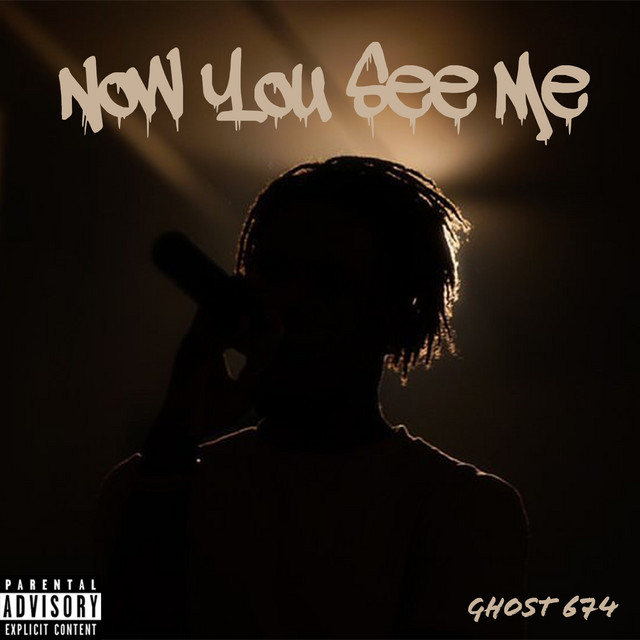 Now You See Me cover art