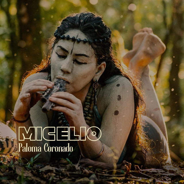 Micelio