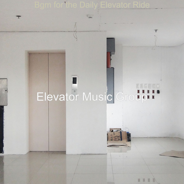 Bgm for the Daily Elevator Ride cover art