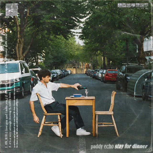 Stay For Dinner cover art