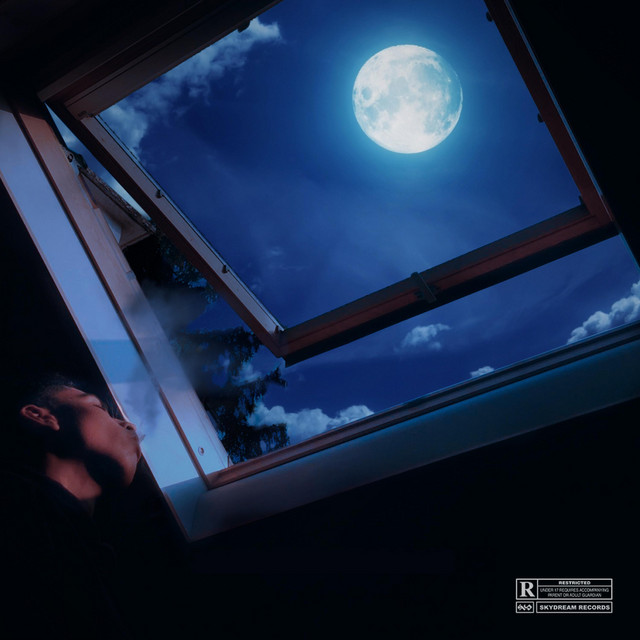 Insomnie cover