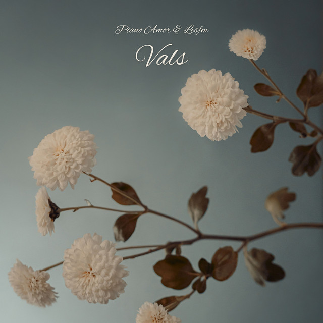 Обкладинка: Vals — Lesfm