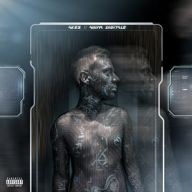 Anima Digitale cover art