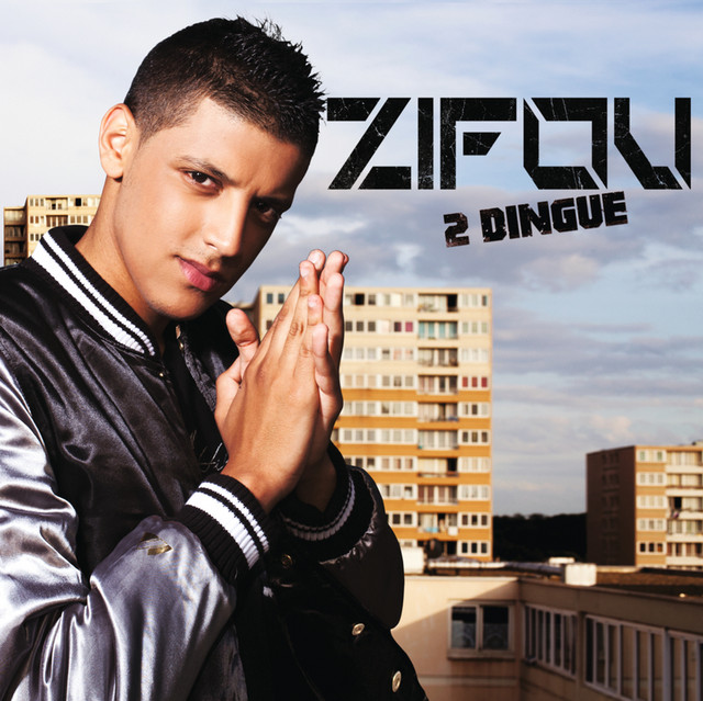 Zifou 2 Dingue cover art