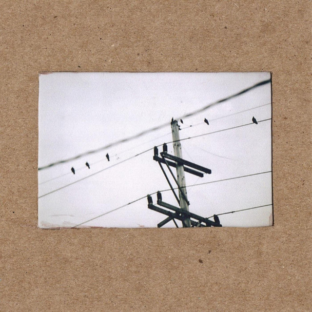 We Carry Our Fate in Plain Sight cover art