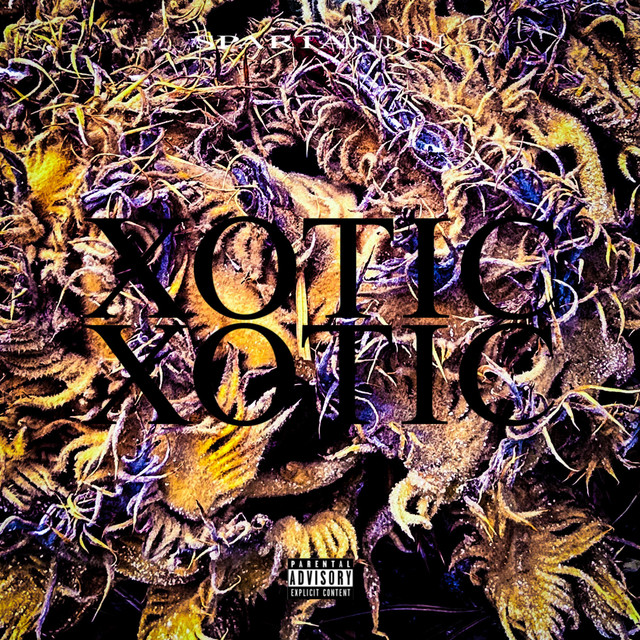 XOTIC TAPE (Mixtape) cover art