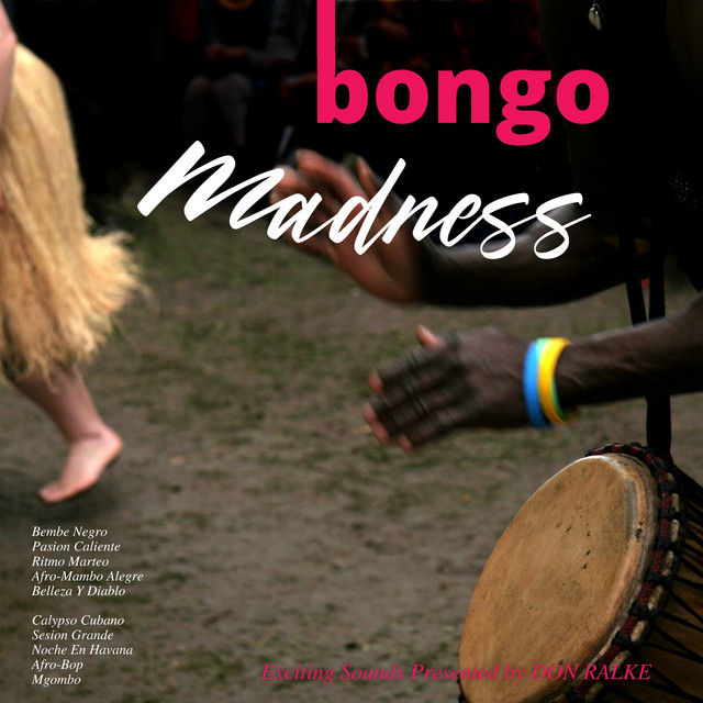 Bongo Madness cover art