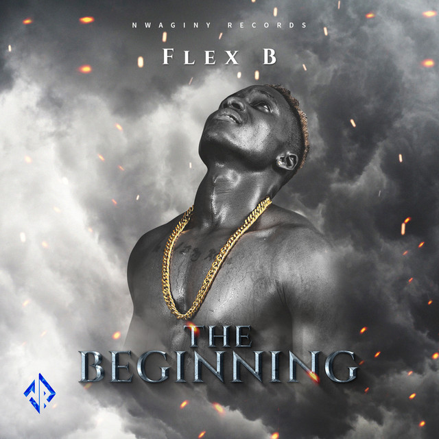 The Beginning cover art