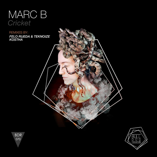 Cricket - Felo Rueda & Teknoize Remix cover art