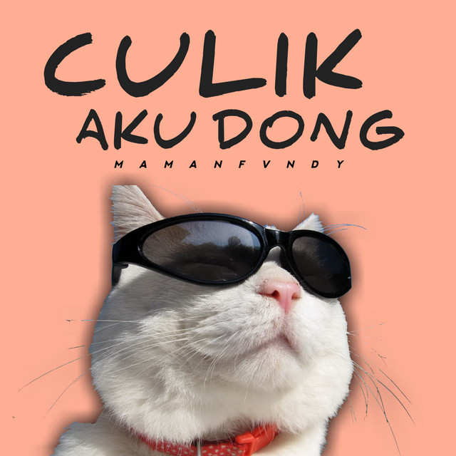 Culik Aku Dong cover art