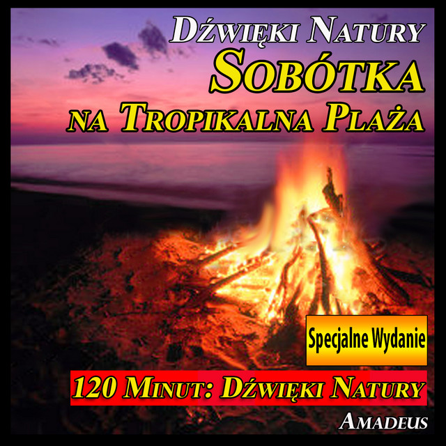 Śpiew Ptaków o Świcie: Dźwięki Natury - Bonus Track cover art