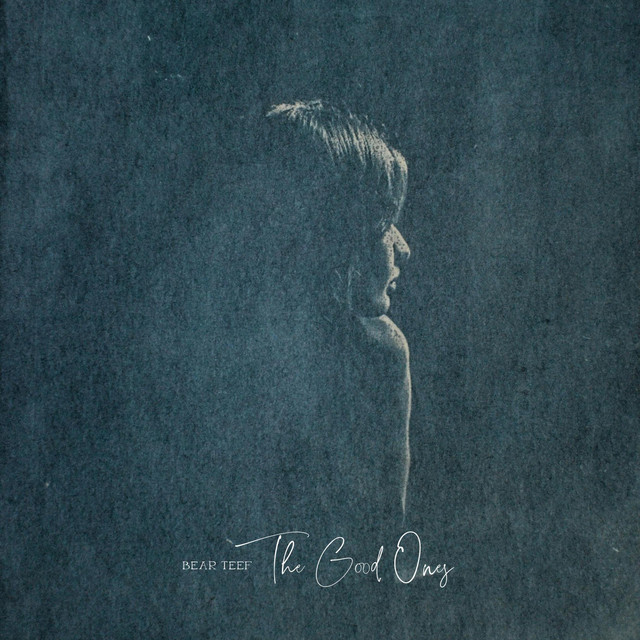 The Good Ones cover art
