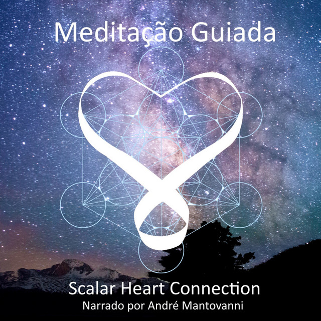 Scalar Heart Connection Meditação Guiada - Single by Stephen Linsteadt ...