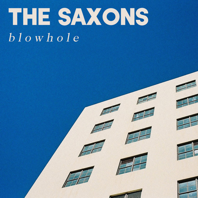 Blowhole cover