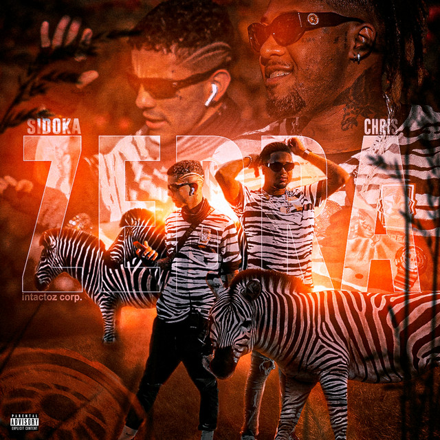 Zebra cover art