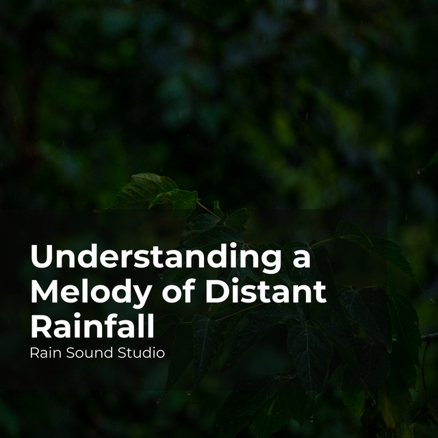 Understanding a Melody of Distant Rainfall - Album by Rain Sound Studio ...