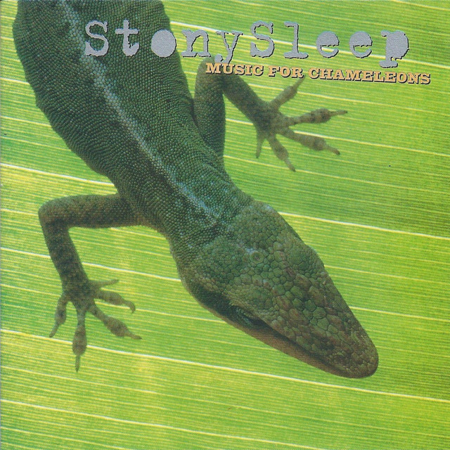Music for Chameleons cover