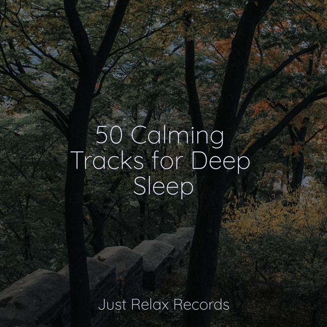 50 Calming Tracks for Deep Sleep - Album by Chillout Lounge | Spotify