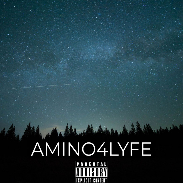 AMINO