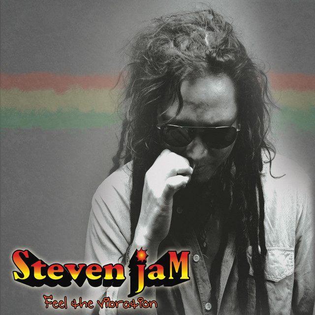 Feel the Vibration cover art