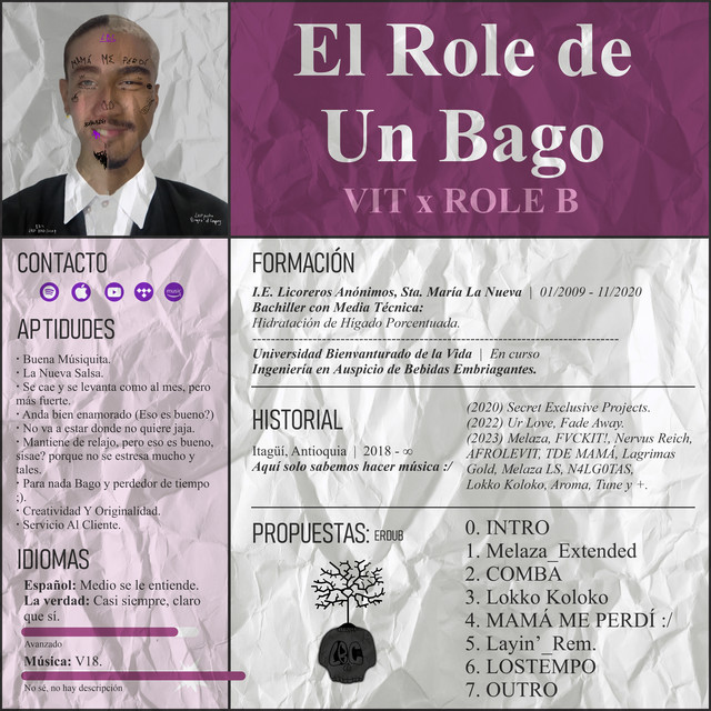 El Role de un Bago cover art